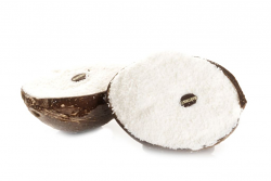 FRUTTO COCCO GELATO | CT: 12PZ X 100g | MARTINUCCI