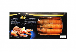 SCAMPO INTERO 13/16 DANIMARCA LAESO