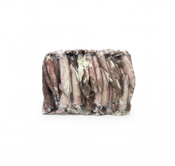 CALAMARO PATAGONICO INTERO 4LL 11/14 5kg WOFCO