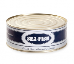 SGOMBRO FILETTI LATTA X2450g