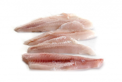 TROTA IRIDEA SALM FILETTO SENZA PELLE 120/150 g FR