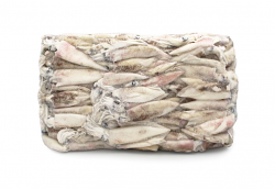 CALAMARO PATAGONICO C4 9/12 BORDO PROFAND