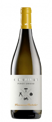 PINOT GRIGIO COLLIO CONFINIS DOC | 6BT X 750ml 2024 FRANCESCO ROTOLO 13° PRENOTAZIONE NON RENDIBILE