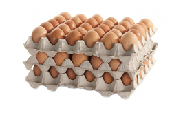 UOVA MISURA M X90PEZZI EUROVO