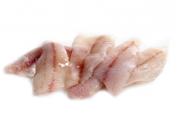 PERSICO TROTA FILETTO SENZA PELLE FR