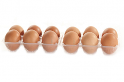 UOVA MISURA L 12CFX6PEZZI ITALIA