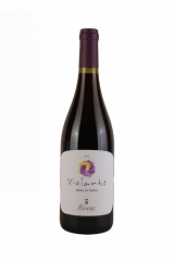 VIOLANTE NERO DI TROIA CASTEL DEL MONTE DOC | 6BT X 750ml 2021 RIVERA 13° PRENOTAZIONE NON RENDIBILE