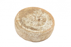 FORMAGGIO TESTUN DI CAPRA 1/4 1,5 kg LC