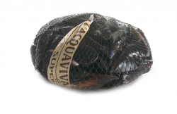 COZZA SUPER SPAGNA FR