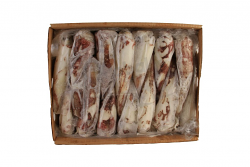 CALAMARO INTERO 16/20 2P IQF IWP 5kg MAROCCO