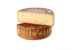 HOLZHOFER LATTE CRUDO 1/2 FORMA 2 kg LC