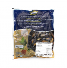 COZZA CILENA INTERA COTTA