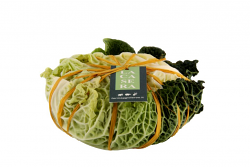 ROBIOLA DI CAPRA INCAVOLATA 2 x 300 g LC