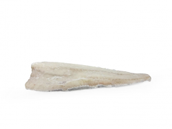 MERLUZZO FILETTO C/P 1000 + CINA