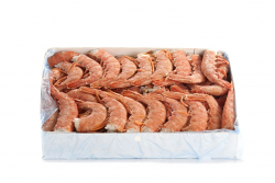 GAMBERO ARGENTINO CODE C1 BORDO ARBUMASA