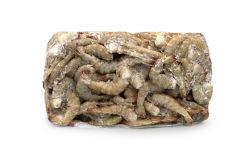 MAZZANCOLLA TROPICALE CODE 41/50 ECUADOR