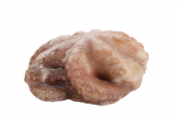 POLPO MAROCCO T3 2/3kg IQF