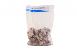 CALAMARO INDOPACIFICO ANELLI C/P CIUFFI 10/20