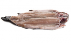 TROTA IRIDEA SPACCATA SENZA TESTA FR