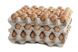 UOVA MISURA M X90PEZZI ITALIA