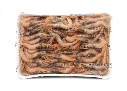 GAMBERO ROSA SICILIA 2 MEDIPESCA CO