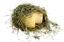 PECORINO NEL FIENO 2 kg LC