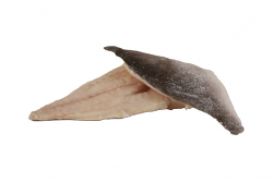 ORATA FILETTO 80/120g C/P RC IQF