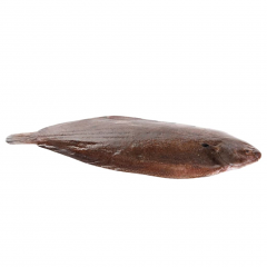 SOGLIOLA 2A EVISCERATA NL 300/380 FR