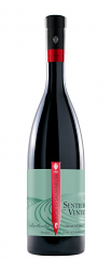 VERMENTINO TERRE SICILIANE SENTIERO DEL VENTO IGT | 6BT X 750ml 2024 DUCA DI SALAPARUTA 12,5° PRENOTAZIONE NON RENDIBILE
