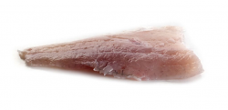 PESCE PERSICO FILETTO ESTERO S/PELLE CONGELATO