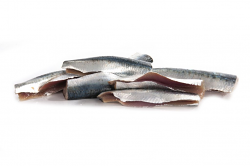SARDINA FILETTO FR