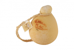 PROVOLONE FIASCHETTO
