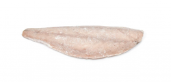 LUTIANO FILETTO CON PELLE 800/1200