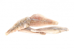 SGOMBRO FILETTO CON PELLE 170/195