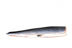 SALMONE 4/5 FILETTO SQUAMATO 1.45-1.70 FR