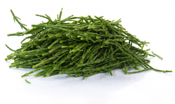 ASPARAGI MARE FR