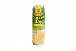SUCCO POMPELMO 100% BRICK | 12CF X 1l | RAUCH