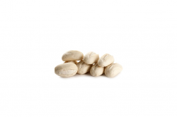 PANE MINI FRUSTINO | CT: 115PZ X 35g | AGRITECH
