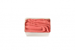 SORBETTO ARANCIO E CAMPARI | CT: 1CF X 1,8Kg | MENODICIOTTO