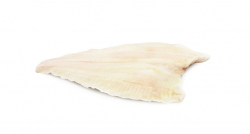 PLATESSA FILETTO CON PELLE 3A 60/90 IQF CO
