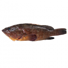 CERNIA 2000/4000 FR