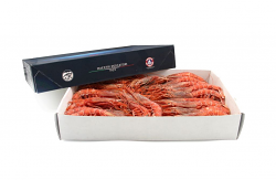 GAMBERO ROSSO M 63-70 'LIREKI'