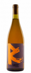RINGHIO RIESLING MACERATO IN ANFORA | PRENOTAZIONE NON RENDIBILE