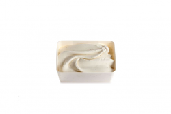 GELATO VANIGLIA MADAGASCAR | 1CF X 1,8Kg | MENODICIOTTO