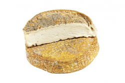 TOMA MACCAGNO FORMA 1,8 kg LC