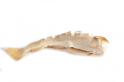 MERLUZZO NORDICO STOCCAFISSO BAGNATO FR