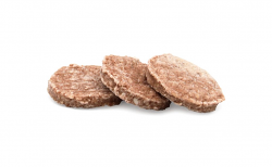 HAMBURGER CHIANINA 30g CO