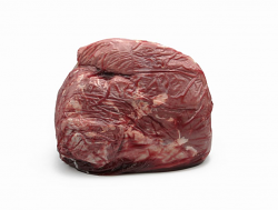 BOVINO AD SCAMONE CUORE GARONNESE FR