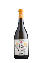 CATARRATTO SICILIA 'CATALU' DOC -BIO | 6BT X 750ml 2025 CARUSO & MININI 12,5°  PRENOTAZIONE NON RENDIBILE