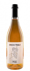 L'ANCESTRALE MALVASIA RIFERMENTATA IN BOTTIGLIA | PRENOTAZIONE NON RENDIBILE